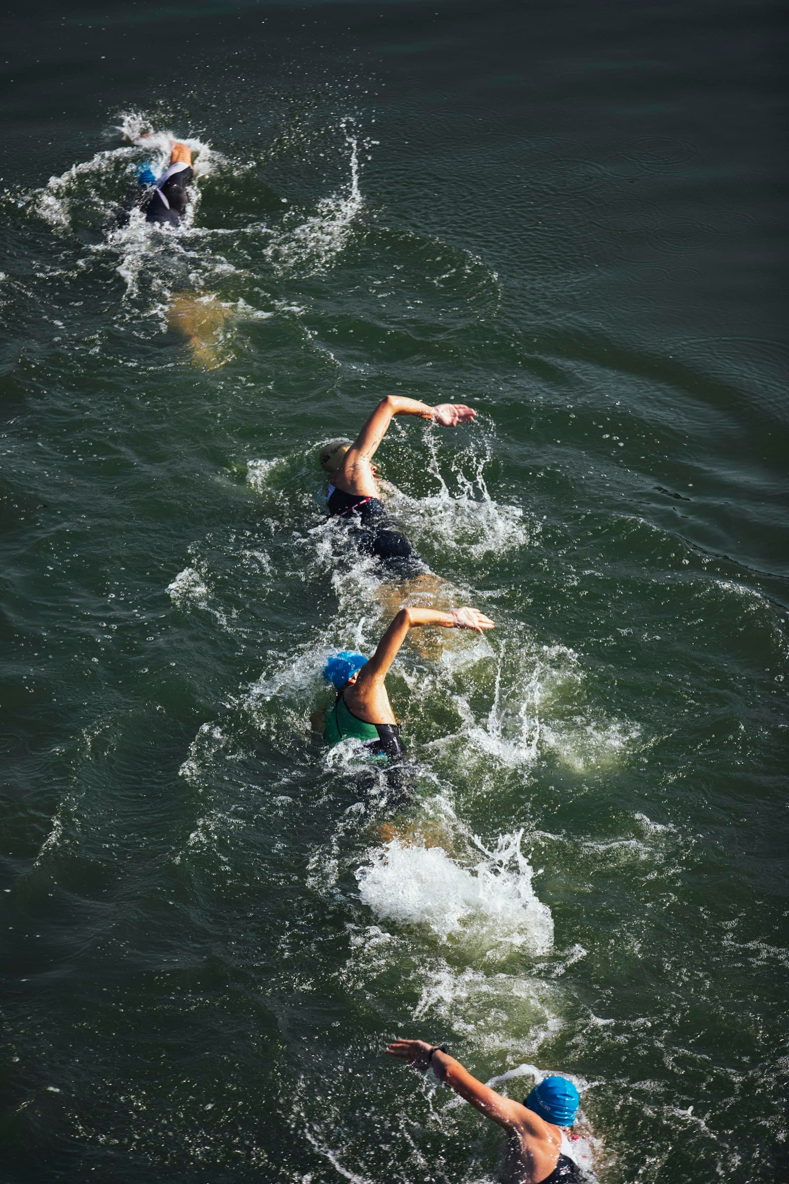 Fat Salmon Open Water Swim 2026 in Seattle, WA