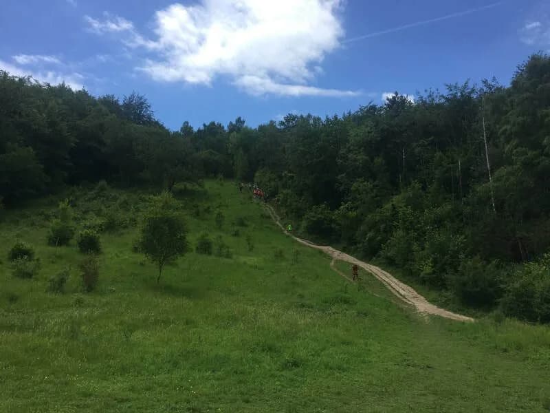 Box Hill Vertical KM 2027 logo