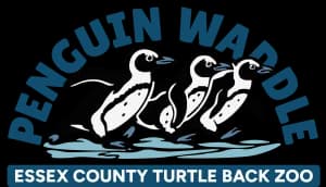 Essex County Turtle Back Zoo Penguin Waddle 2026 logo