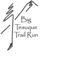 The Big T 2026 logo