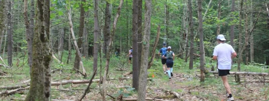 Spaulding Woods 50K 2026 logo