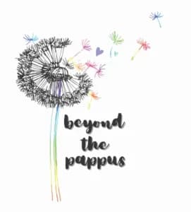 Beyond the Pappus, Walk to Remember... 2026 logo