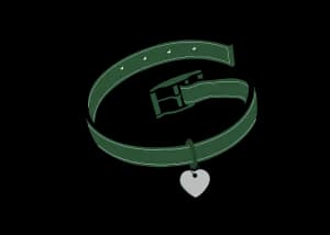 Love Story: A Taylor Tribute Concert Benefitting The Greenville Humane Society 2026 logo