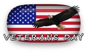 Veterans Day 5K 2026 logo