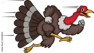 Stratford Turkey Day Trot 2026 logo