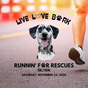 Runnin' for Rescues 5K/10K 2026 logo