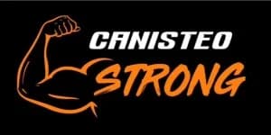 Canisteo Strong 5K & 10K 2026 logo