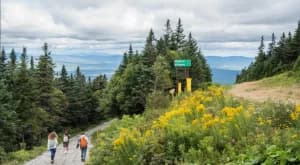 Free Hike with a Guide ** race will be rescheduled due to weather***** 2026 logo