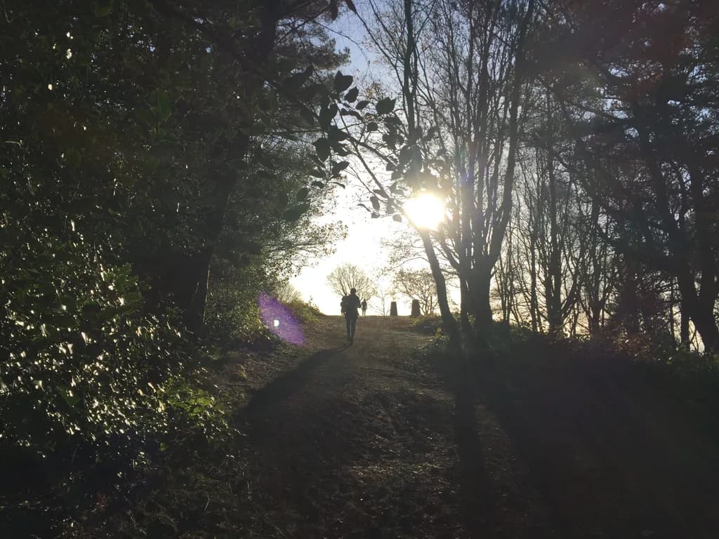 North Downs Way Ultra Run (30 miles) 2027 logo