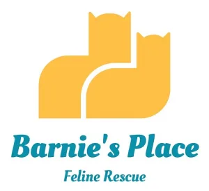 Barnie's Place 5K Race: Go the Extra Mile 2026 logo