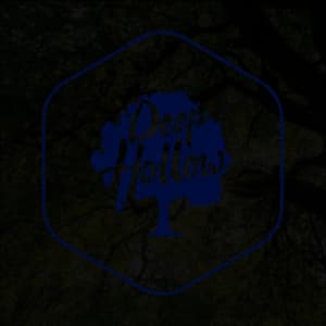 Deep Hollow Half Marathon & 5K Trail Race 2026 logo