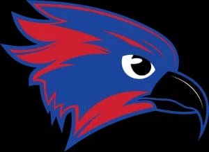 Owego Night Invite 2026 logo