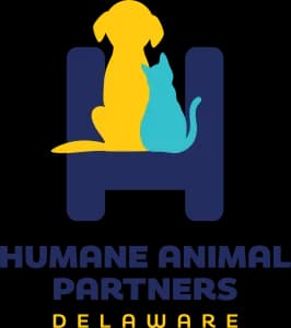 18th RUN FOR THE PAWS 5K, 5K WALK & 1M DOG WALK (SS Summer Series #10) 2026 logo