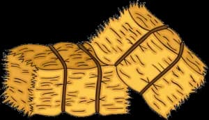Hay Bale Hustle 3k 2026 logo