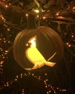 Center School's Halloween Hustle 5k Run/Walk 2026 logo