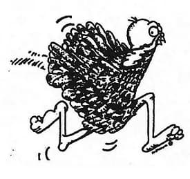 Running of the Turkeys 2026 logo