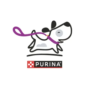 Purple Leash 5K & Fun Run 2026 logo