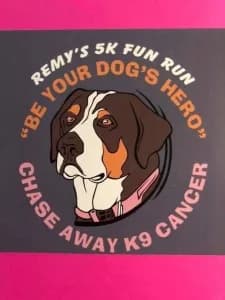 Remy’s Run/Walk 2026 logo
