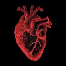 Run With Your Heart Alpena 2026 logo