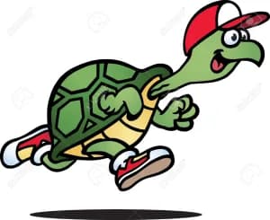 Turtle Trot 10K and 5K 2026 logo
