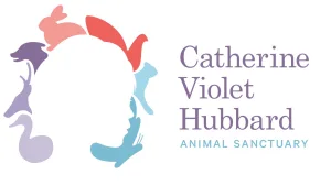 RACE FOR CATHERINE 2026 logo
