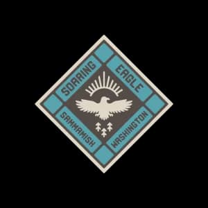 Soaring Eagle Trail Run 2026 logo