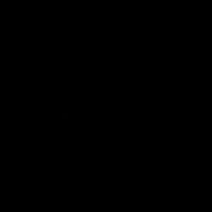 Rims To River 8K 2026 logo