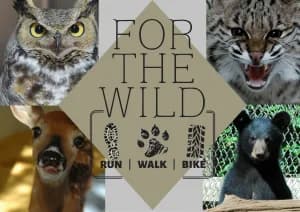 For The Wild 5K/10K+ 2026 logo
