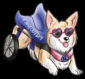 2025 RACE at Your Own Pace to #ShadeOutDM - "Together we can Wipe-Out DM 2026 logo