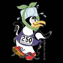 Torrington Road Race 2026 logo