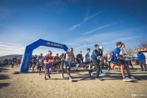 Veterans Day Fun Run 2026 logo