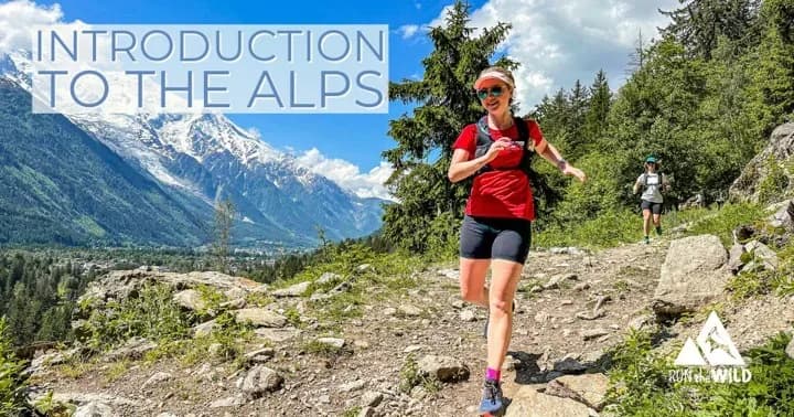 Introduction to the Alps - 11-13 June 2027 logo