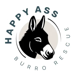 River & Rails Donkey Dash 2026 logo