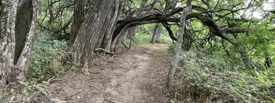 Tour de Trail: Big Bull Creek Park 2026 logo