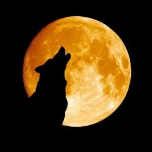 Kennekuk Road Runners - Howl at the Moon 8/4 hour Ultra 2026 logo