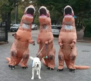 Richmond T. Rex Run 2026 logo