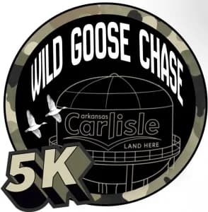 Wild Goose Chase 5K 2026 logo