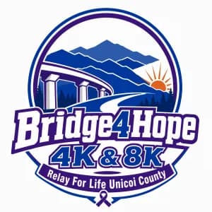 Bridge 4 Hope 4K & 8K 2026 logo