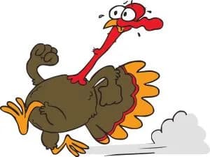 Hillsdale Hobble Gobble 2026 logo