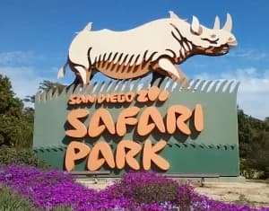 Meet at: Safari Behind the Scenes Tour 2026 logo