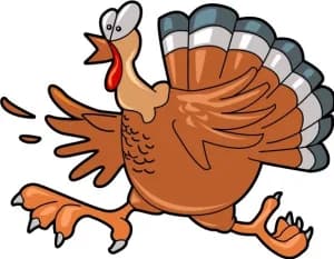 RRRC 49th Annual Turkey Trot 10k & 5k, presented by Wegmans 2026 logo