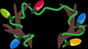 Brookfield Zoo Chicago Reindeer Run 2026 logo