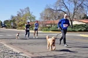 2.5K & 5K Lucky Dawg Jog / Walk for Charity / Sat. October 10th, 2026 logo