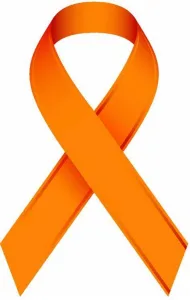 4th Annual Allie’s Army 5K Run / Walk to benefit the Brunas family 2026 logo