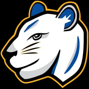 Panther Dash 2026 logo