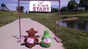 TurtleLiz JenMonkey Friendship Run VI 2026 logo