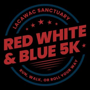 2nd Annual Red, White & Blue 5k 2026 logo