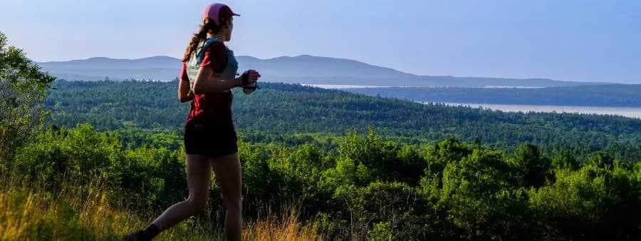 Blue Hill Mountain Trail Fest 2026 logo