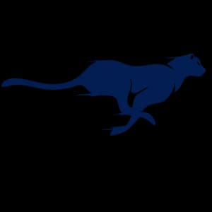 The Chase 2026 logo