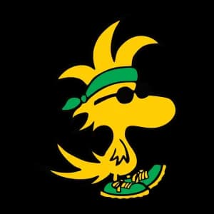 Publix Woodstock 5K 2026 logo